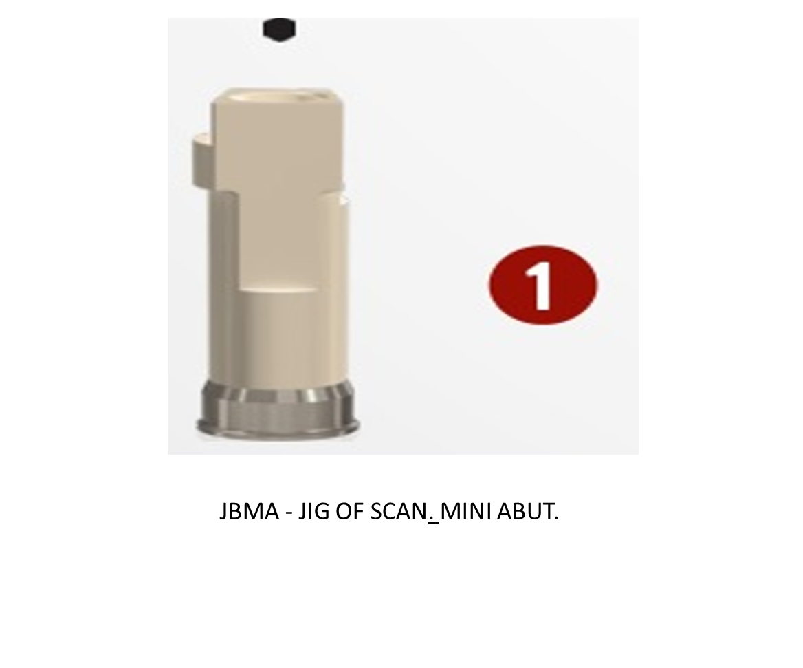 JIG OF SCAN. MINI ABUT.